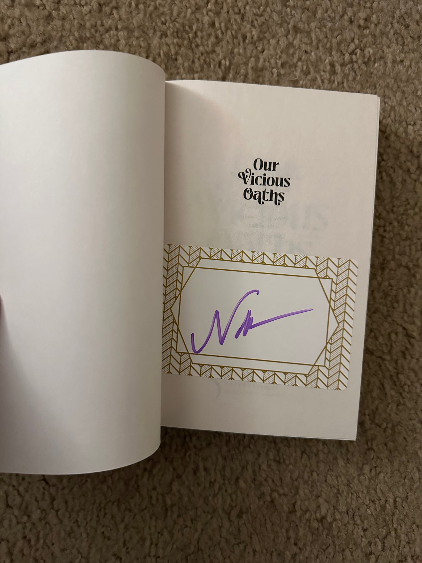 Our Vicious Oaths by N.E. Davenport | Fantasy Bookly Collector’s Edition (Signed Softcover)